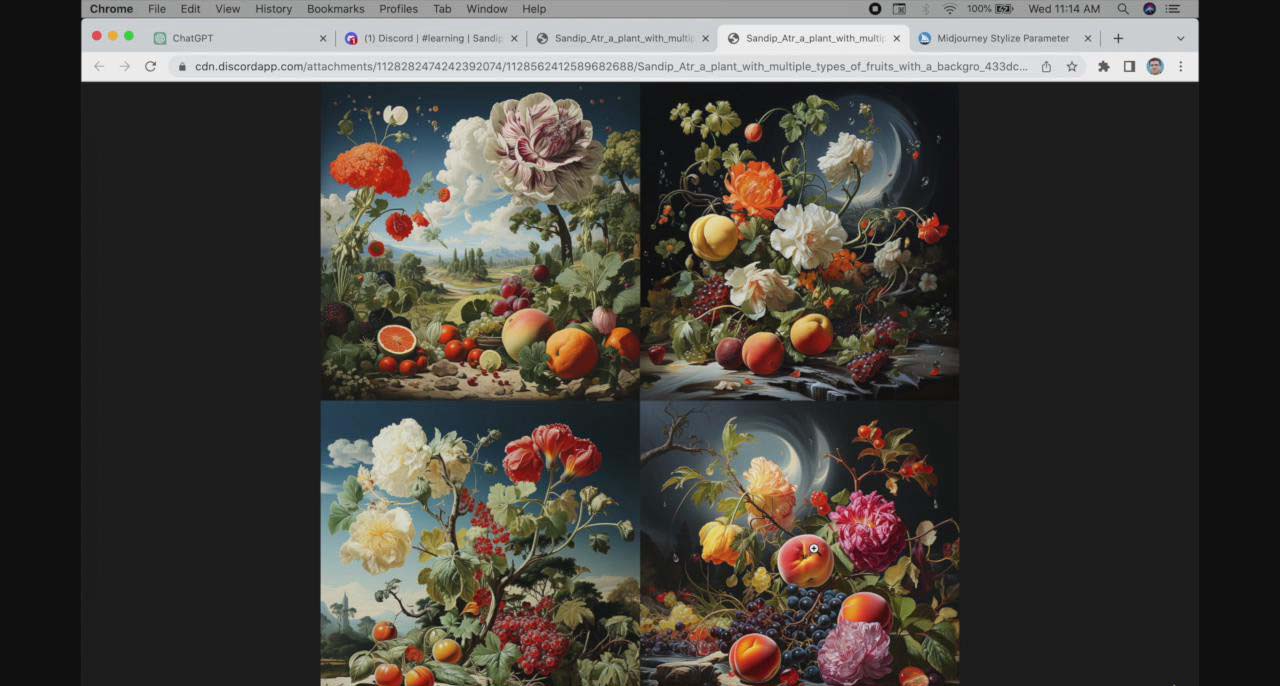 图片[2]-ChatGPT4 和 MidJourney AI 绘画聊天革命性指南教程-33节视频课-中英字幕-臭虾米项目网