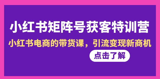 小红书-矩阵号获客特训营-第10期，小红书电商的带货课，引流变现新商机-臭虾米项目网