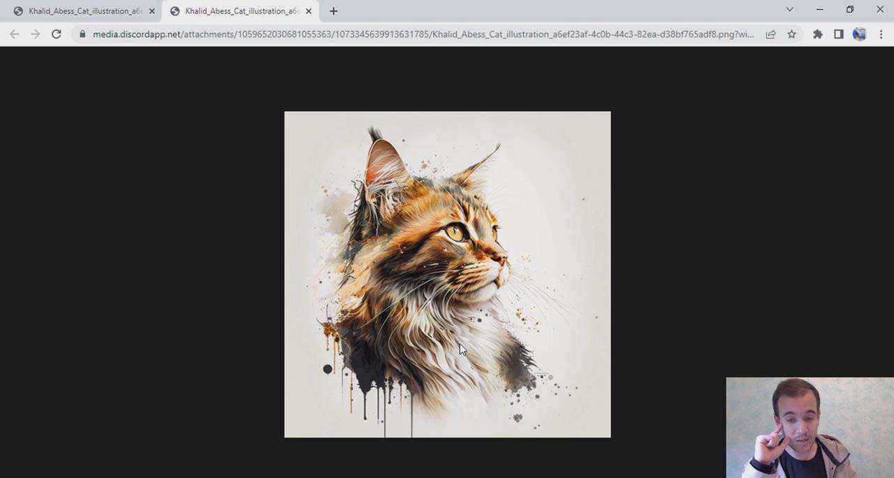 图片[2]-Midjourney 精通教程-使用Midjourney AI创建美丽艺术图像-36节课-中英字幕-臭虾米项目网