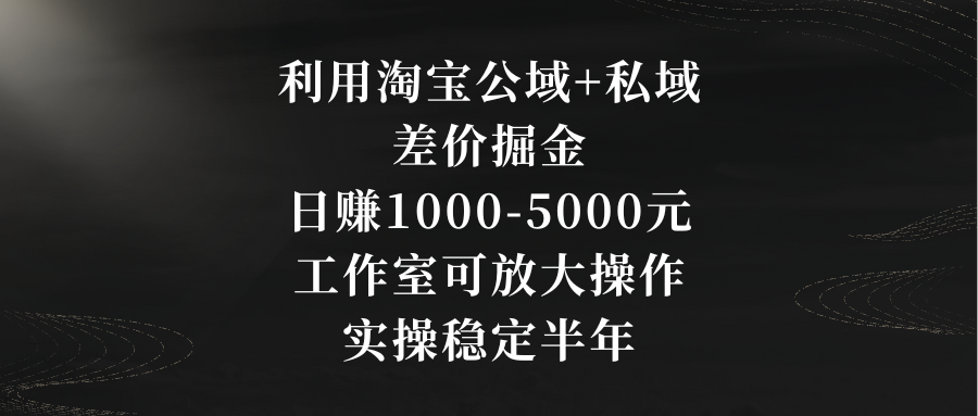 利用淘宝公域+私域差价掘金，日赚1000-5000元，工作室可放大操作-臭虾米项目网