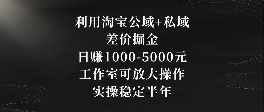 图片[1]-利用淘宝公域+私域差价掘金，日赚1000-5000元，工作室可放大操作-臭虾米项目网