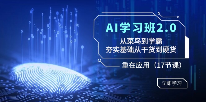 AI学习班2.0：从菜鸟到学霸，夯实基础从干货到硬货，重在应用（17节课）-臭虾米项目网