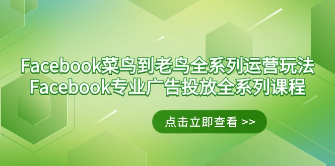 Facebook-菜鸟到老鸟全系列运营玩法+Facebook-专业广告投放全系列课程-臭虾米项目网