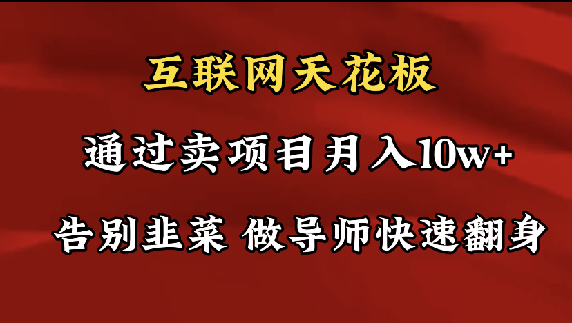 导师训练营互联网的天花板，让你告别韭菜，通过卖项目月入10w+-臭虾米项目网