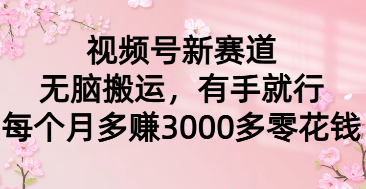 视频号新赛道，无脑搬运，有手就行，每个月多赚3000多零花钱-臭虾米项目网