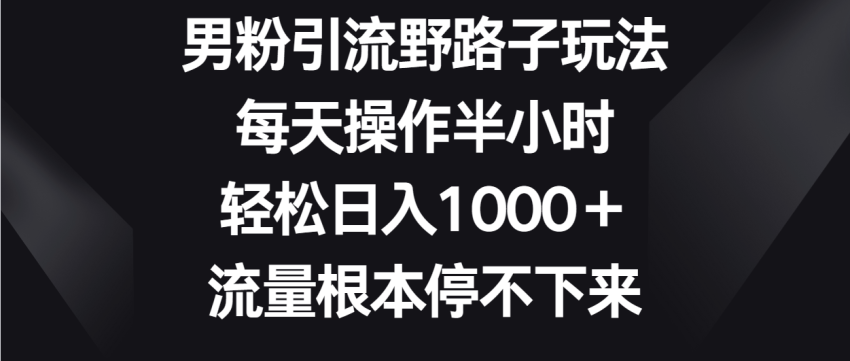 掌握男粉引流技巧，每日只需半小时，日增收千元 ，流量源源不断-臭虾米项目网