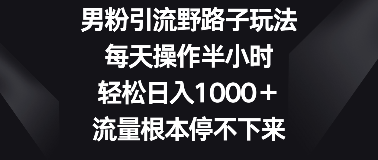 掌握男粉引流技巧，每日只需半小时，日增收千元 ，流量源源不断-臭虾米项目网