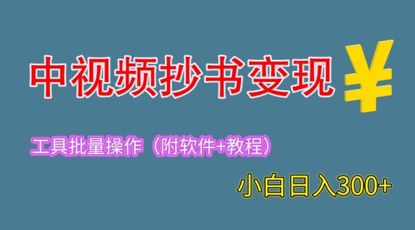 2023年中视频抄书变现:轻松日增300元,手把手教学 实用工具推荐-臭虾米项目网