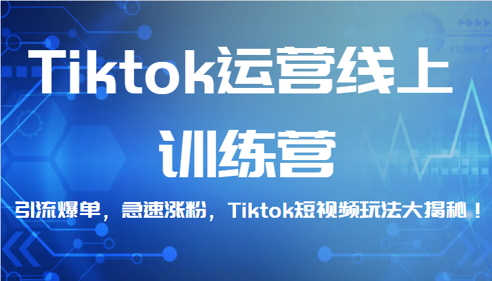 TikTok短视频运营实战班：快速增粉、爆单引流技巧-臭虾米项目网