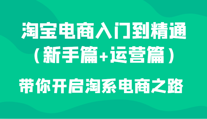 淘宝电商从入门到精通：新手指南 实战运营宝典-臭虾米项目网