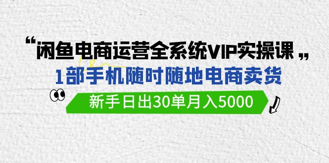闲鱼电商运营全系统VIP实战课，1部手机随时随地卖货，新手日出30单月入5000-臭虾米项目网
