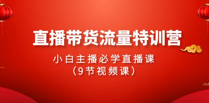 2024直播带货流量特训营，小白主播必学直播课（9节视频课）-臭虾米项目网