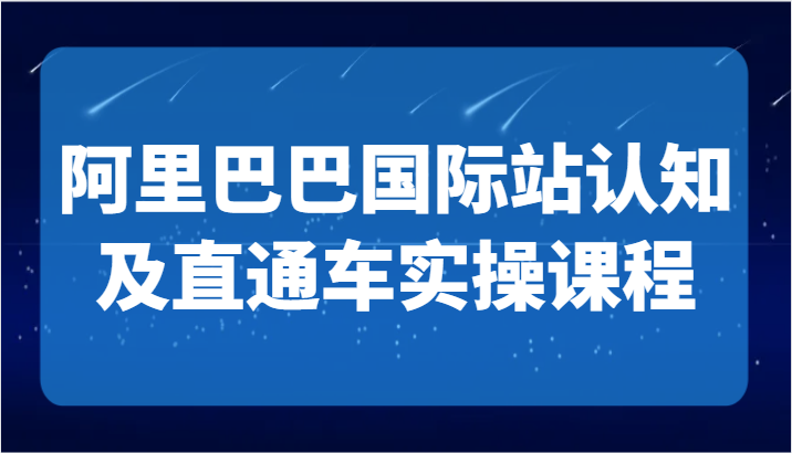 掌握阿里巴巴国际站运营实战技巧，打造TOP商家品牌 - 直通车实操课程-臭虾米项目网