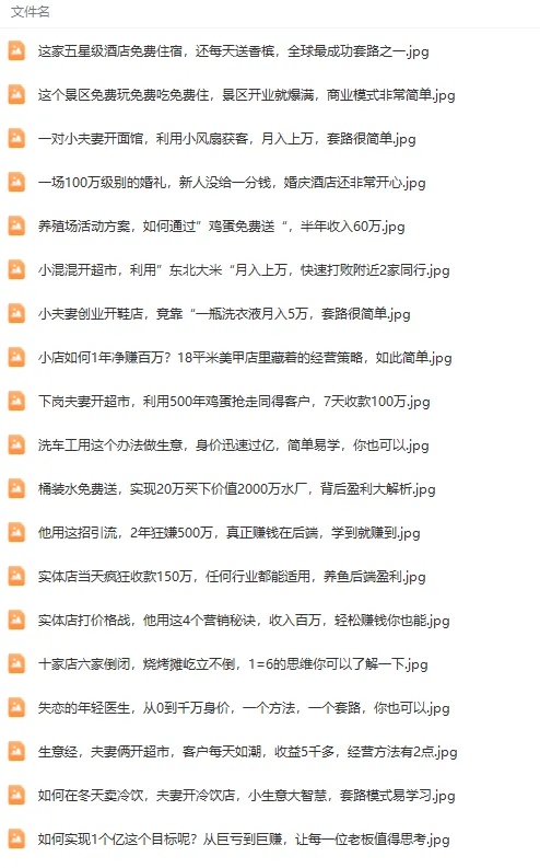 图片[4]-真实有效391套商业模式，年入几十到几百万案例解析（电子书+视频+图文）-臭虾米项目网