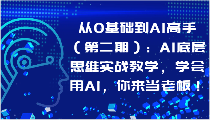 从0基础到AI高手（第二期）：AI底层思维实战教学，学会用AI，你来当老板！-臭虾米项目网