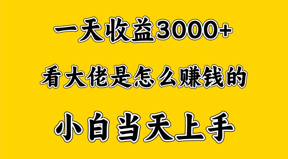 一天赚3000多，大佬是这样赚到钱的，小白当天上手，穷人翻身项目-臭虾米项目网