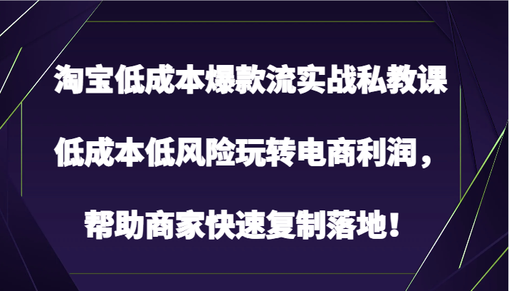 淘宝低成本爆款流实战私教课，低成本低风险玩转电商利润，帮助商家快速复制落地！-臭虾米项目网