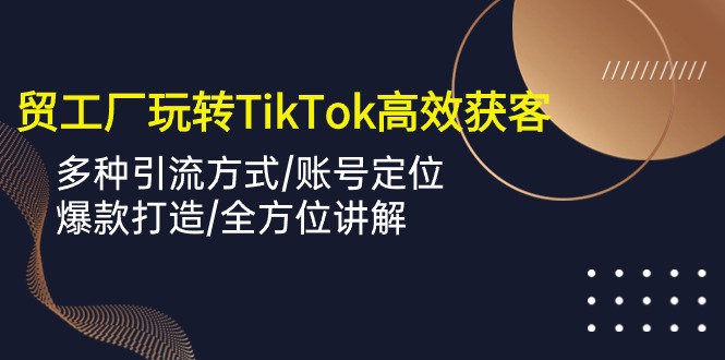 外贸工厂玩转TikTok高效获客，多种引流方式/账号定位/爆款打造/全方位讲解-臭虾米项目网