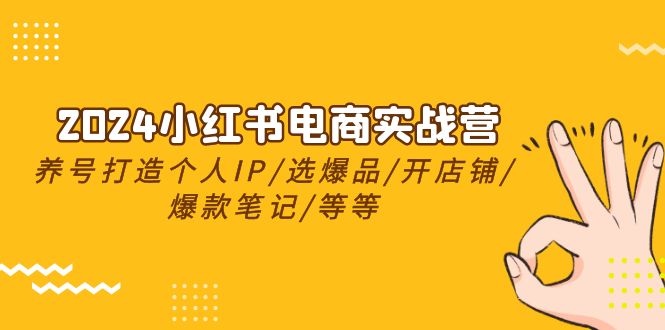 2024小红书电商实战营，养号打造IP/选爆品/开店铺/爆款笔记/等等（24节）-臭虾米项目网