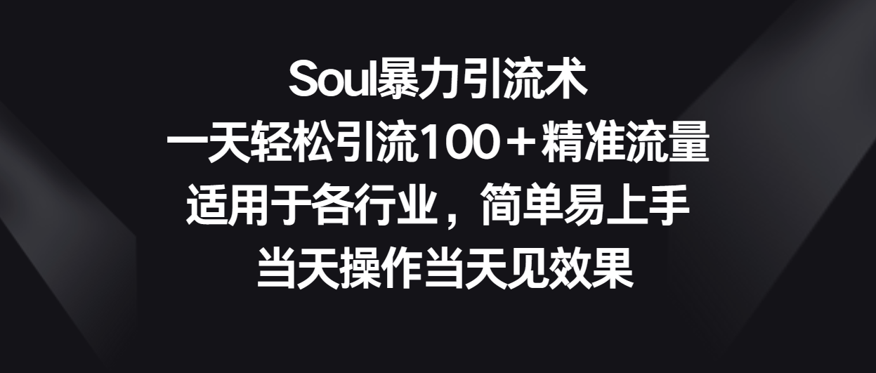 Soul暴力引流术，一天轻松引流100＋精准流量，适用于各行业，简单易上手！-臭虾米项目网