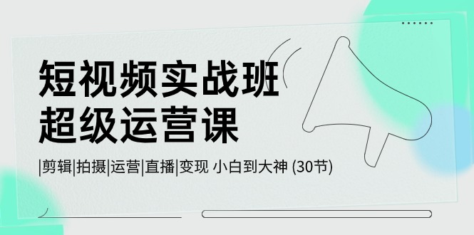 短视频实战班超级运营课|剪辑|拍摄|运营|直播|变现小白到大神(30节)-臭虾米项目网