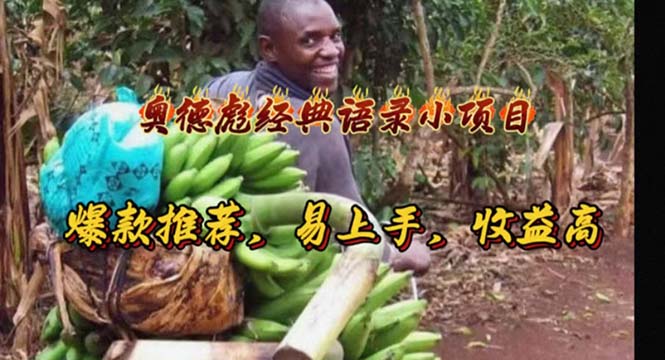 奥德彪经典语录小项目，爆款推荐，易上手，收益高-臭虾米项目网