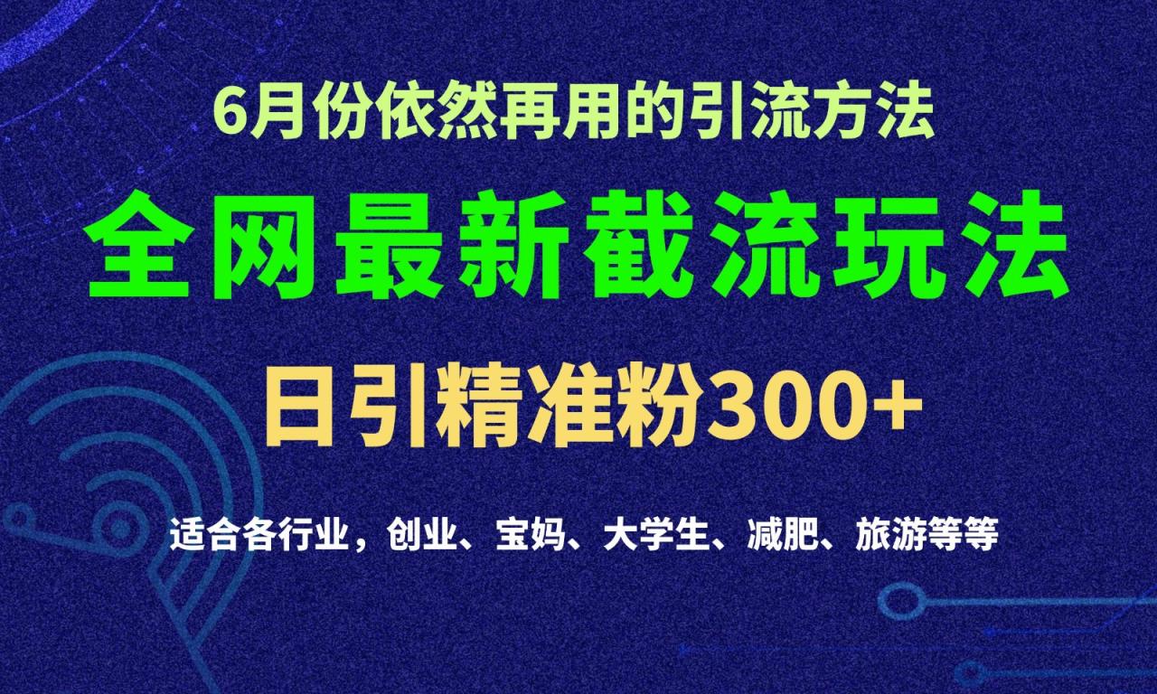 2024全网最新截留玩法，每日引流突破300-臭虾米项目网