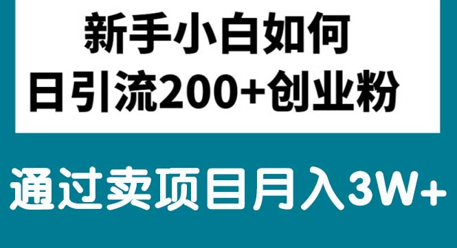 新手小白日引流200 创业粉,通过卖项目月入3W-臭虾米项目网