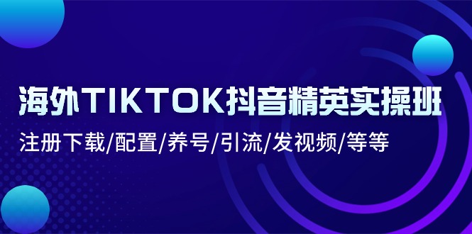 海外TIKTOK抖音精英实操班：注册下载/配置/养号/引流/发视频/等等-臭虾米项目网