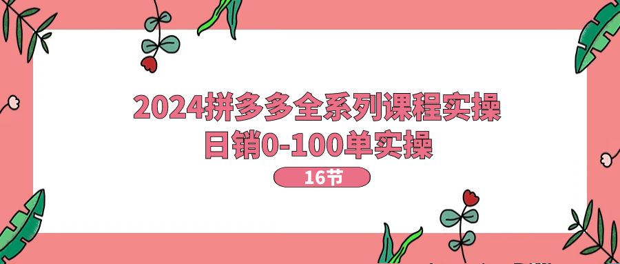 2024拼多多全系列课程实操，日销0100单实操【16节课】-臭虾米项目网