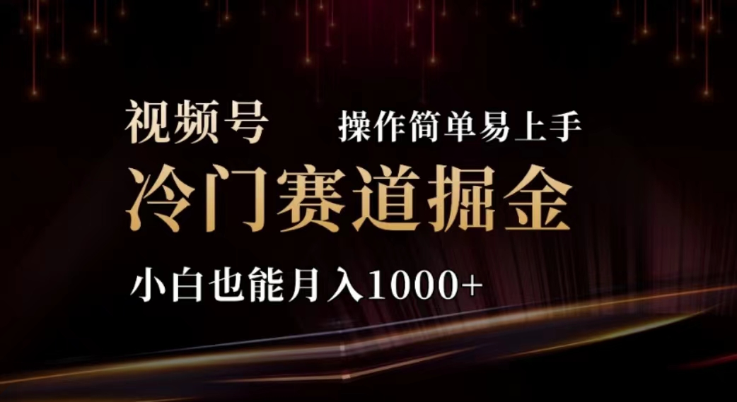 2024视频号冷门赛道掘金，操作简单轻松上手，小白也能月入1000-臭虾米项目网