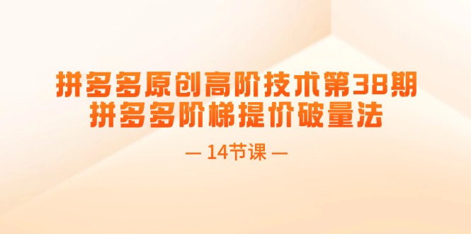 拼多多原创高阶技术第38期，拼多多阶梯提价破量法（14节课）-臭虾米项目网