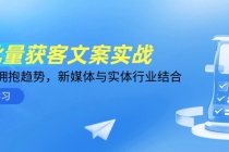 AI批量获客文案实战，普通人拥抱趋势，新媒体与实体行业结合-臭虾米项目网