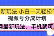 视频号分成计划，全网最暴力玩法，新手一天也能轻松500+-臭虾米项目网