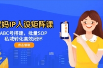 宝妈IP人设矩阵课：ABC号搭建，批量SOP，私域转化高效闭环-臭虾米项目网