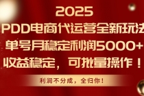 2025PDD电商代运营全新玩法,单号月稳定利润5000+,收益稳定,可批量操作-臭虾米项目网