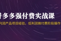 拼多多强付费实战课-44期，高利润产品项目经验，低利润微付费阶段操作-臭虾米项目网