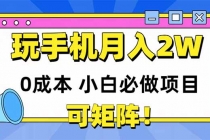 玩玩手机月入20000+，0成本小白必做项目，可矩阵-臭虾米项目网