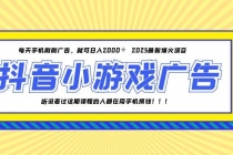 25年爆火的抖音小游戏项目，一部手机日入2000+-臭虾米项目网