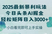 今日头条2025年最新暴利玩法，思路简单，复制粘贴，轻松实现矩阵日入3000+-臭虾米项目网
