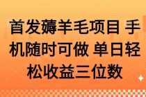 薅羊毛项目 手机随时可做 单日轻松收益三位数-臭虾米项目网