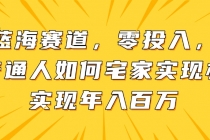 新蓝海赛道，零投入，一个普通人如何宅家办公实现年入百万-臭虾米项目网
