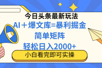 今日头条2025最新蓝海玩法，操作简单，矩阵批量，轻松日入2000+-臭虾米项目网