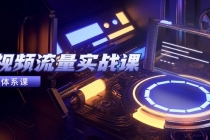 短视频流量实战课，从平台选择到内容变现，爆款公式与投放技巧-臭虾米项目网