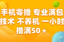 手机零撸 专业满包技术 不养机 一小时撸满50+-臭虾米项目网