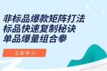 非标品爆款矩阵打法，标品快速复制秘诀，单品爆量组合拳-臭虾米项目网
