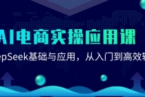 AI电商实操应用课：DeepSeek基础与应用，从入门到高效输出-臭虾米项目网