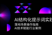 AI结构化提示词实践，落地场景操作指南，AI技术赋能行业案例-臭虾米项目网