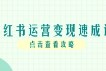 小红书运营变现速成课，账号搭建到暴力起号，个人IP全流程指南-臭虾米项目网