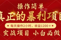 真正的暴利项目,操作简单,每天收益1200+,自己做老板-臭虾米项目网